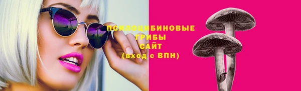 прущие крисы Вязники